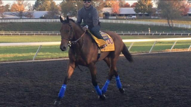 (Yeah, I took this one too!)