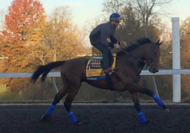 (Yeah, I took this photo!  Me!)